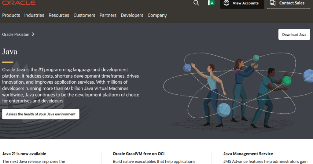 Installing Oracle JDK image 3