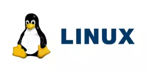 VPS with limitless bandwidth 8