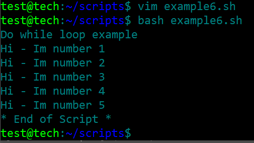bash script 10