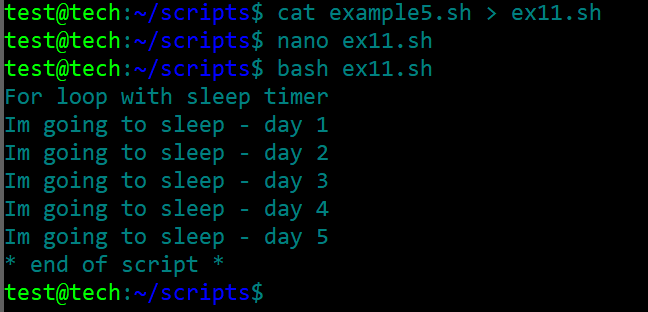 bash script 17