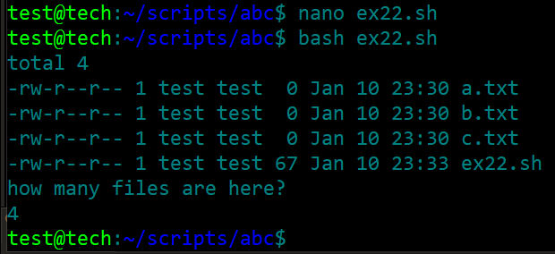 bash script 29